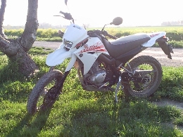 Moto occasion : YAMAHA XT 125 X 