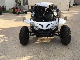 Buggy / SSV occasion : PGO Bug Rider 250 