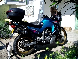 Moto occasion : HONDA XLV 600 Transalp 