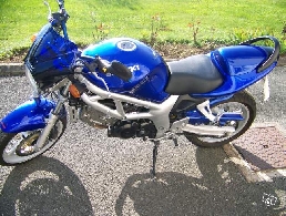 Moto occasion : SUZUKI SV 650 