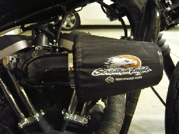 Moto occasion : HARLEY-DAVIDSON Sportster Iron 883 Mat