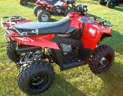 Quad occasion : POLARIS Trail Boss 330 