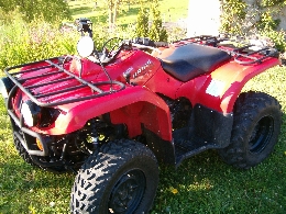 Quad occasion : YAMAHA Bruin 350 