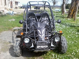 Buggy / SSV occasion : PGO Bug Rider 250 