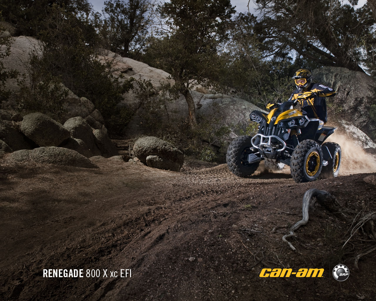 CAN-AM BOMBARDIER Renegade 800 R X xc 2011 photo 3