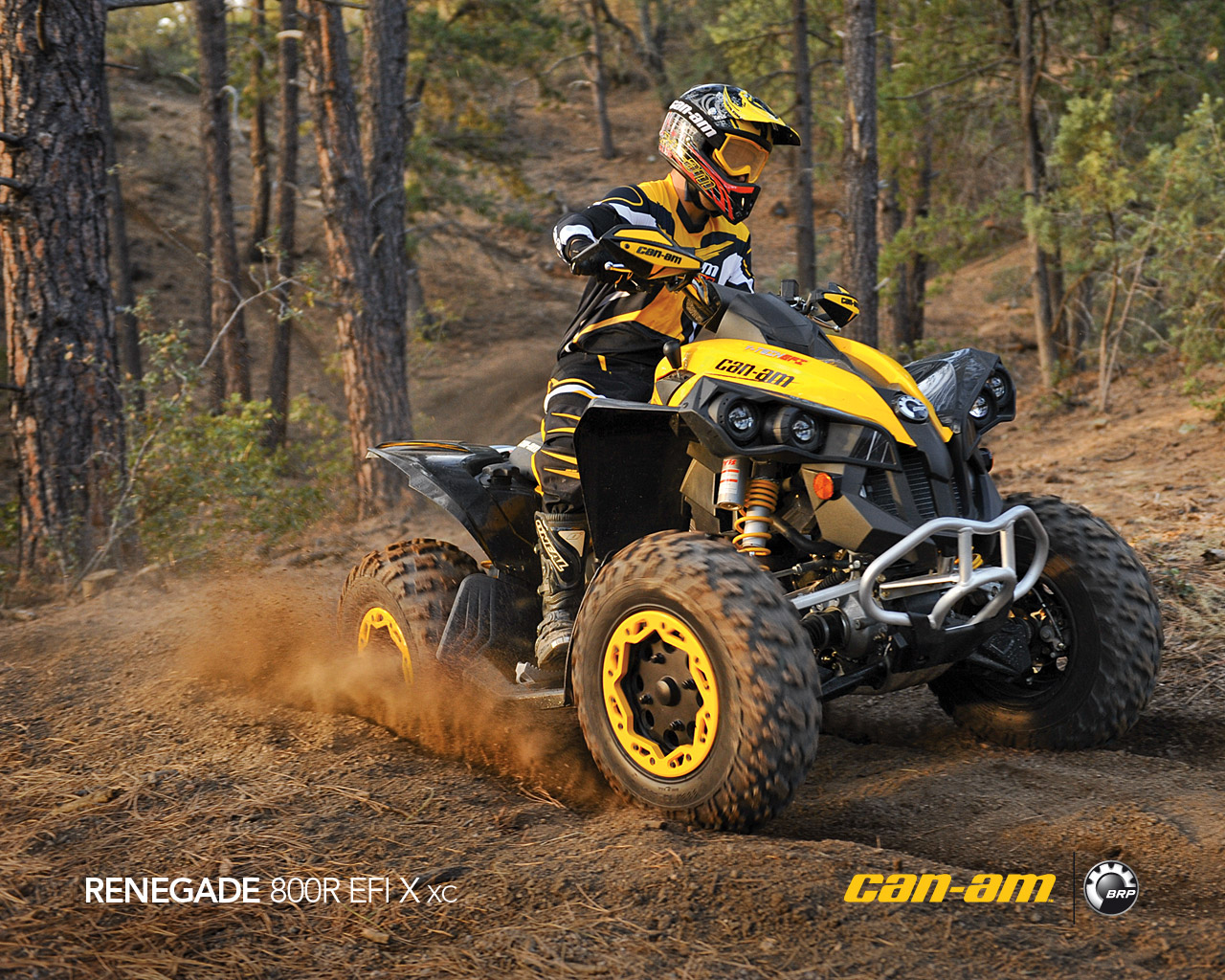 CAN-AM BOMBARDIER Renegade 800 R X xc 2011 photo 4