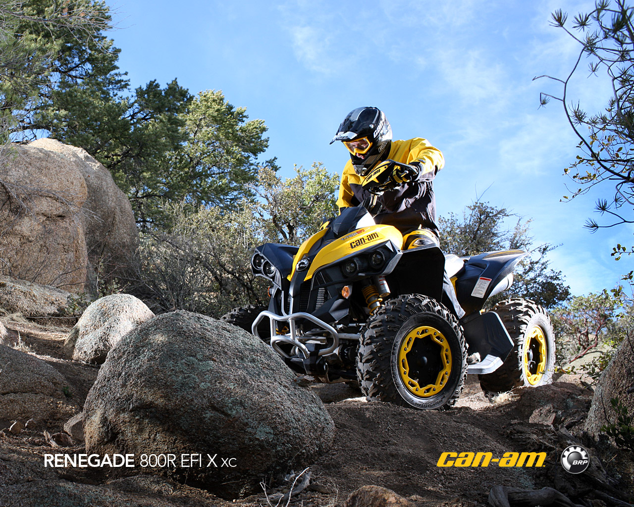 CAN-AM BOMBARDIER Renegade 800 R X xc 2011 photo 5