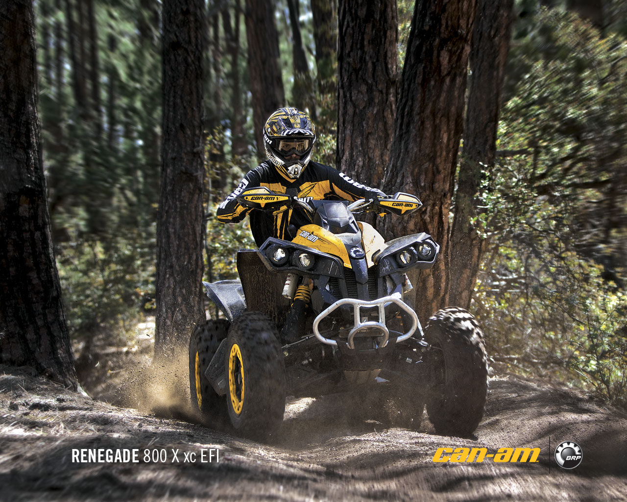 CAN-AM BOMBARDIER Renegade 800 R X xc 2011 photo 7