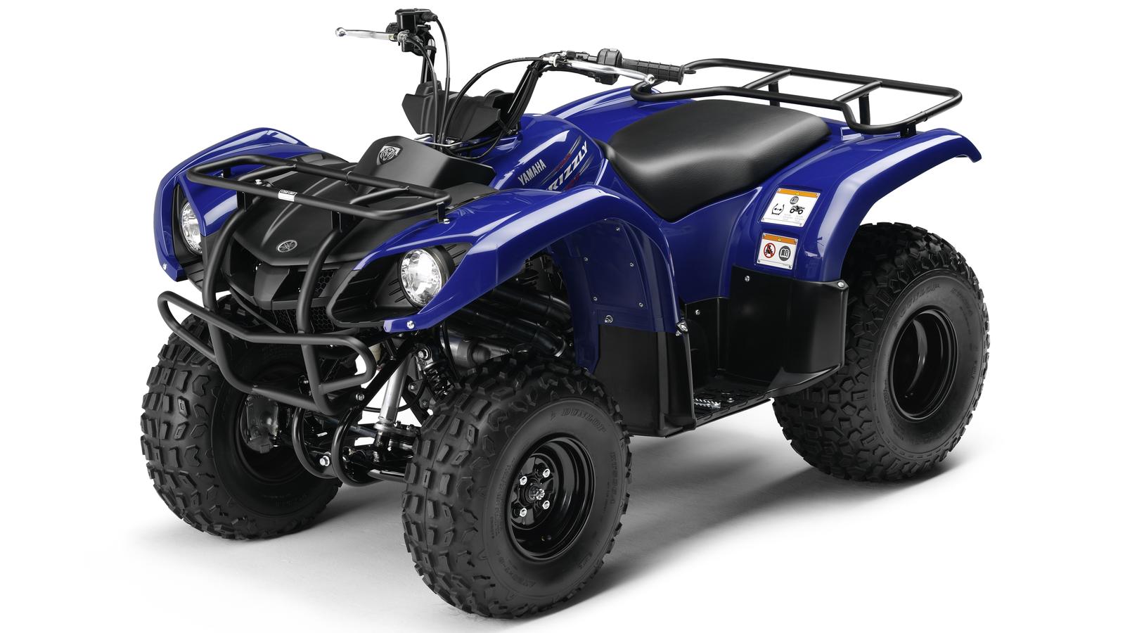 YAMAHA Grizzly 125  2011 photo 4