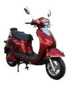 Concessionnaire / Garage / Magasin Moto, Scooter, Quad, Buggy / SSV ESPARK à St Victoret